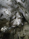 Meziad Cave - Apuseni Mountains, Padurea Craiului -