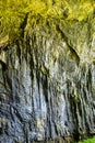 Meziad Cave, one of the most beautiful caves in Romania