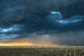 Storm over field in Oklahoma Royalty Free Stock Photo