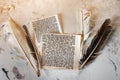 Mezuzah parchments made from animal skin with the full text of the Shema Yisrael Jewish prayer in Hebrew and the feather quills