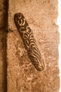 The mezuzah on the Zion Gate in Jerusalem, Israel