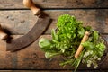 Mezzaluna knife with basket of fresh herbs