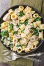 Mezze maniche pasta with chicken, mushrooms and spinach in creamy cheese sauce close-up in a plate. Vertical top view Royalty Free Stock Photo