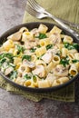 Mezze maniche pasta with chicken, mushrooms and spinach in creamy cheese sauce close-up in a plate. Vertical Royalty Free Stock Photo