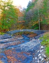 Stone bridge at Fillmore Glen State Park in fall