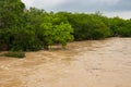 Raging Currents - The Force of Floodwaters in Texas Hill Country Royalty Free Stock Photo