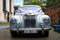 MG Magnette classic car displaying wedding ribbons Royalty Free Stock Photo