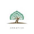 Tree life logo design vector icon unique Royalty Free Stock Photo
