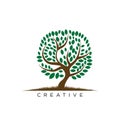 Tree life logo design vector icon unique Royalty Free Stock Photo
