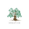 Tree life logo design vector icon unique Royalty Free Stock Photo