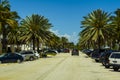 Miami Beach carpark with palm