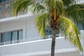 Miami Beach deco architecture and tropical palm tree fronds Royalty Free Stock Photo