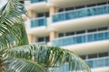 Miami Beach deco architecture and tropical palm tree fronds Royalty Free Stock Photo