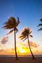 Miami Beach, Florida colorful summer sunrise or sunset with palm trees Royalty Free Stock Photo