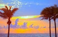 Miami Beach, Florida colorful summer sunrise or sunset with palm trees Royalty Free Stock Photo