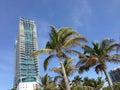 Miami Beach Hotels