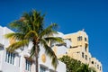 Miami Beach scene hotels art deco and palm trees tropical destination business travel