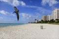 Miami beach Royalty Free Stock Photo