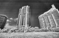 Miami Coral Gables skyscrapers, infrared view