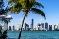 Miami Downtown skyline Royalty Free Stock Photo