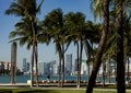 Miami Downtown skyline from South Pointe Park with Palms. Royalty Free Stock Photo