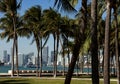 Miami Downtown skyline from South Pointe Park with Palms. Royalty Free Stock Photo