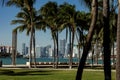 Miami Downtown skyline from South Pointe Park with Palms. Royalty Free Stock Photo