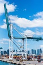 Gantry crane in the container terminal. Miami sea port.