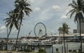 Ferris wheel behind yacht harbor, Miami, Florida, USA Royalty Free Stock Photo