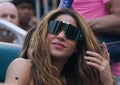 Shakira attends 2024 Miami Open men's singles final match between Jannik Sinner of Italy and Grigor Dimitrov of Bulgaria