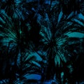 Miami night tropical black foliage on sunset blur