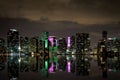 Miami Skyline at night