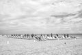 Sandy beach with sunbeds and folded, pink umbrellas