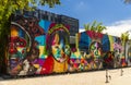 Street art in the Wynward Walls district of Miami