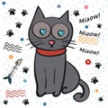 Scrap Set Pet cat with hearts in the eyes. Vector illustration, illustration isolated. Fortune telling, Signs and Symbols.