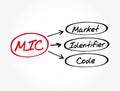 MIC - Market Identifier Code acronym, business concept background