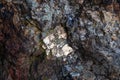 Mica Flakes in a Rock