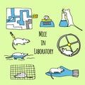 Mice in laboratory hand drawn