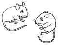 Mice outlines