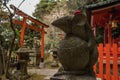 Mice statue close up and red torii on Otoyo Jinja shrine of Kyoto Royalty Free Stock Photo