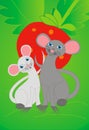 Mice and strawberry