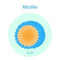 Micelle Color Icon