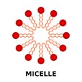 Micelle structure with hydrophilic head and hydrophobic tails. Aggregate of surfactant amphipathic lipid molecules.