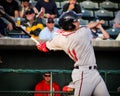 Michael Chavis, Greenville Drive Royalty Free Stock Photo
