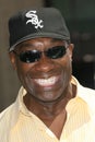 Michael Clarke Duncan Royalty Free Stock Photo