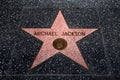 The Michael Jackson star