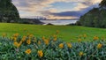 Michael Joseph Savage Memorial Park, Evening, Auckland