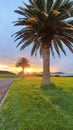 Michael Joseph Savage Memorial Park, Sunset, Auckland, Royalty Free Stock Photo