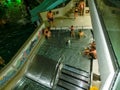 Michalovce, Slovakia - December 30, 2019: People resting at swimming pool in Thermal park Sirava