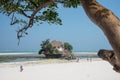 The Rock - small restaurant on top of the rock,, Michamwi Pingwe, Zanzibar Royalty Free Stock Photo